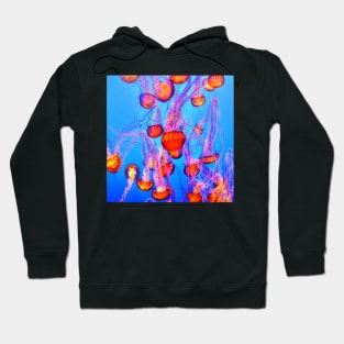 Jellyfish Hoodie